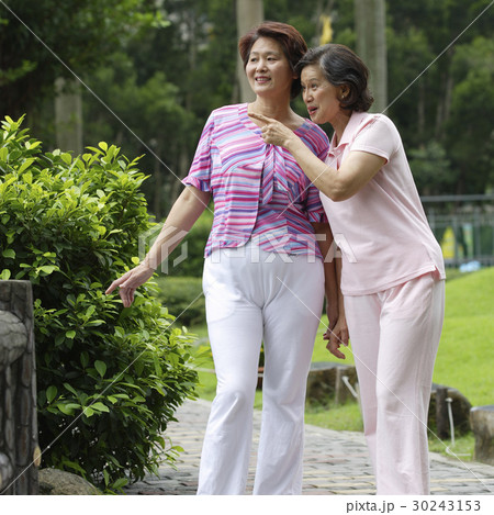 Seniors Seniors 30243153