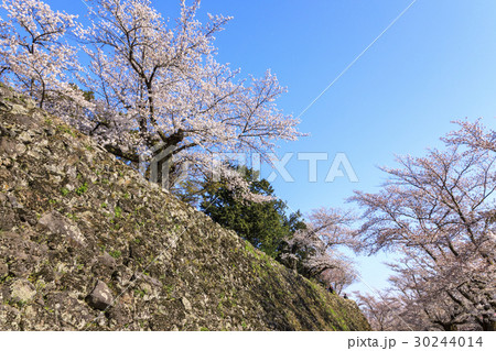 小諸城趾 30244014