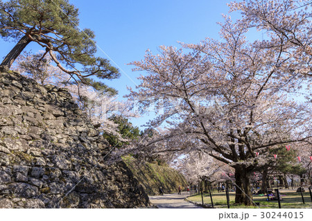 小諸城趾 30244015