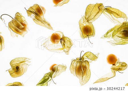 fresh berries fresh berries 30244217