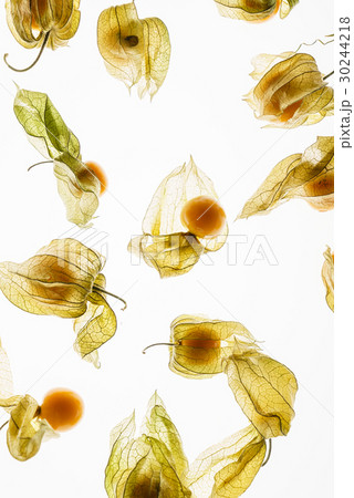 fresh berries 30244218