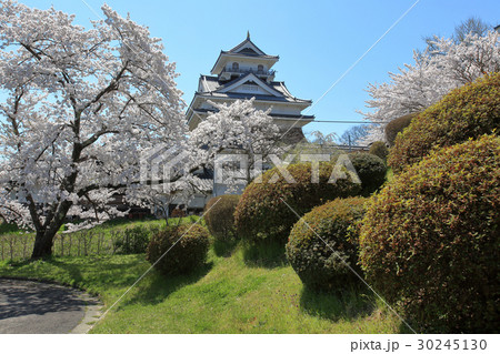 上山城 上山城 30245130