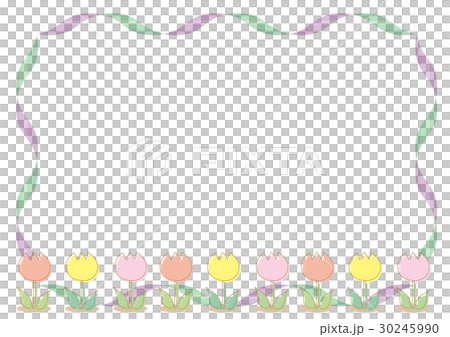 鬱金香框架·女性 30245990