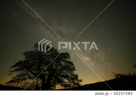 こと座流星群と天の川銀河 こと座流星群と天の川銀河 30247384