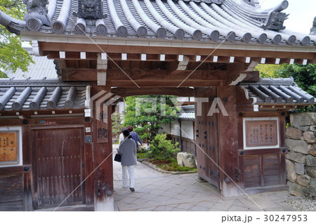 律院 律院 30247953