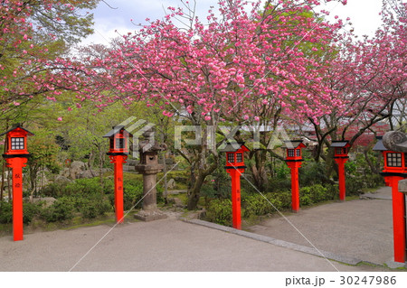 律院 律院 30247986