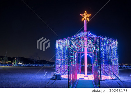 群馬 おおたイルミネーション2016 群馬 おおたイルミネーション2016 30248173