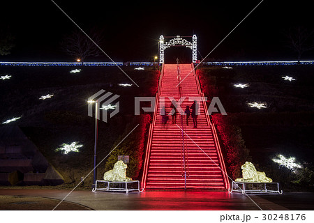 群馬　おおたイルミネーション2016 30248176