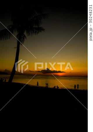 南国ビーチ 南国ビーチ 30248231