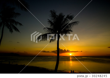 南国ビーチ 南国ビーチ 30248245