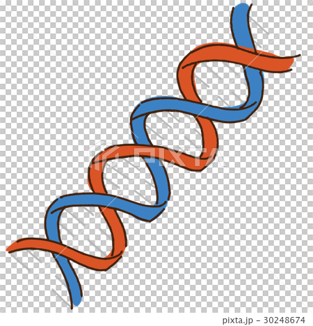 Dnaのイラストのイラスト素材