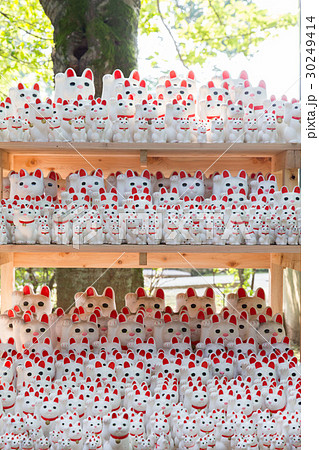 大量の招き猫 30249414