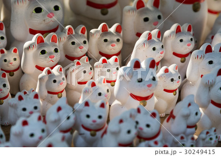 大量の招き猫 30249415