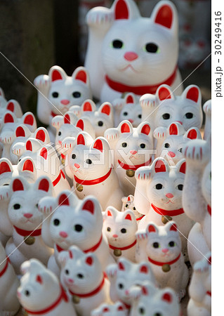 大量の招き猫 30249416