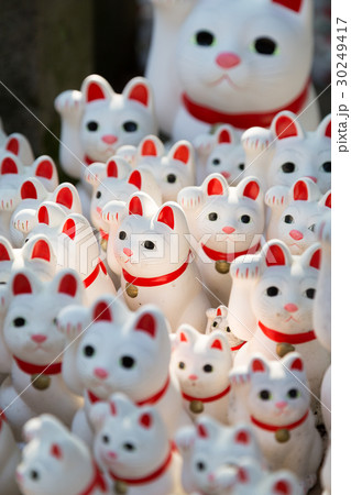 大量の招き猫 30249417