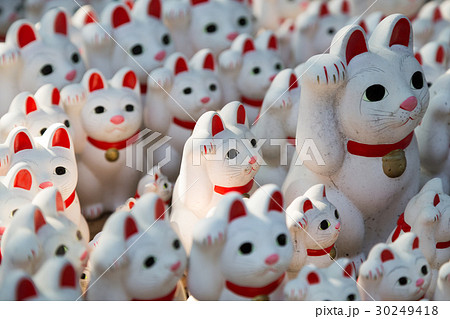 大量の招き猫 30249418
