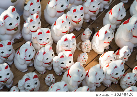 大量の招き猫 大量の招き猫 30249420