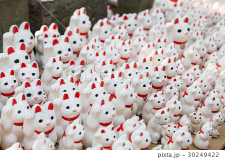 大量の招き猫 大量の招き猫 30249422