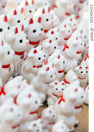 大量の招き猫 大量の招き猫 30249423