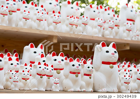 大量の招き猫 30249439