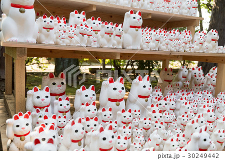大量の招き猫 30249442