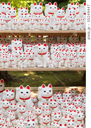 大量の招き猫 大量の招き猫 30249447
