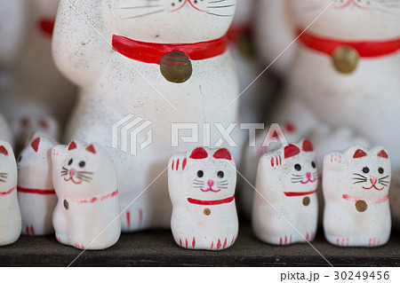 大量の招き猫 大量の招き猫 30249456