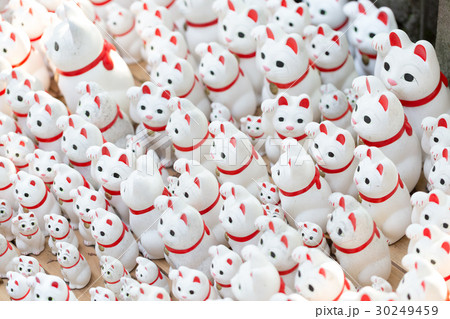 大量の招き猫 30249459