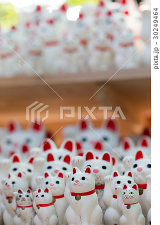 大量の招き猫 30249464