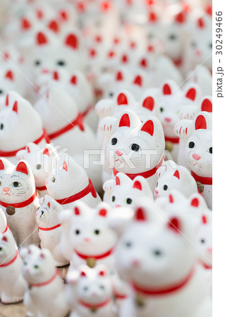 大量の招き猫 大量の招き猫 30249466