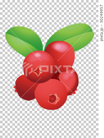 Lingonberry 30249957
