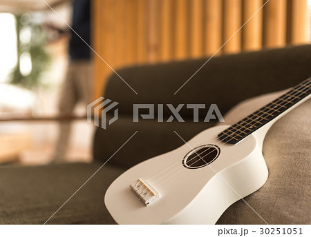 楽器 楽器 30251051