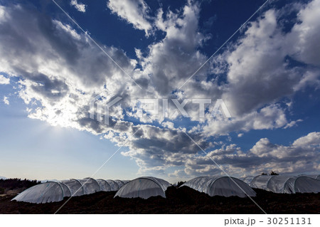 農業用トンネルと空に浮かぶ雲の写真素材