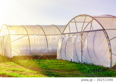Sunset on outside view of greenhouse Sunset on outside view of greenhouse 30251390