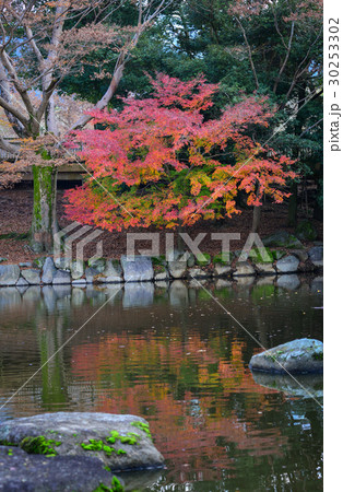 Landscape of Japanese garden at autumn Landscape of Japanese garden at autumn 30253302