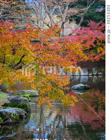 Landscape of Japanese garden at autumn Landscape of Japanese garden at autumn 30253303