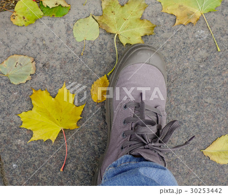 Leg in shoe on the autumn leaves 30253442
