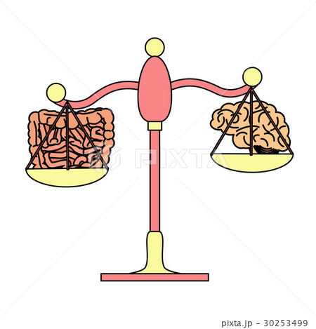 gut versus brain concept 30253499