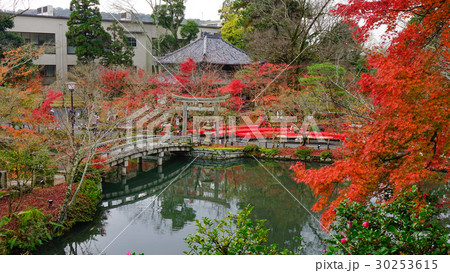 Landscape of Japanese garden at autumn Landscape of Japanese garden at autumn 30253615