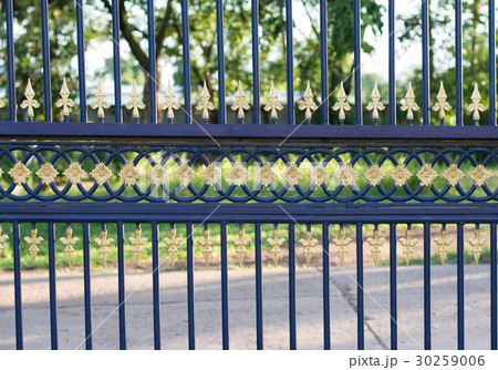 structure and ornaments of wrought iron and gate 30259006