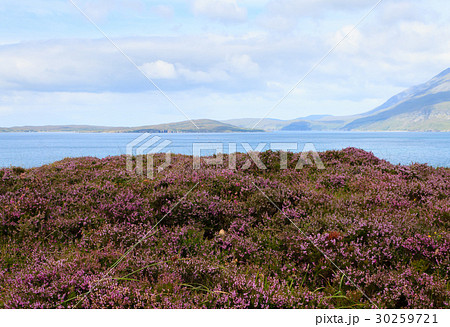 Rural scottish panorama 30259721