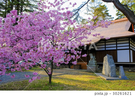 上田城招魂社 30261621