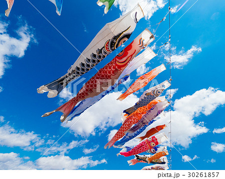 鯉のぼり 30261857