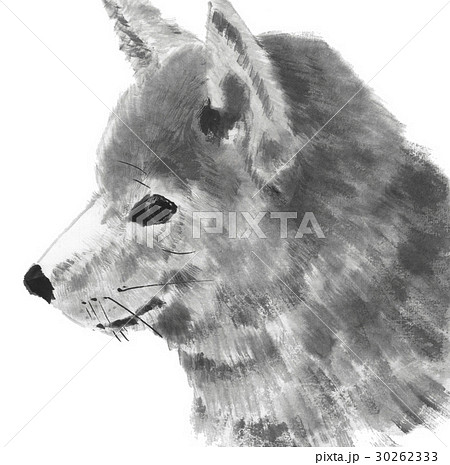 犬 水墨調のイラスト素材 [30262333] - PIXTA