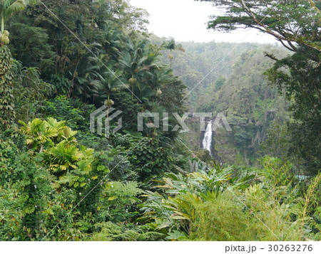 ハワイ島のアカカフォールズ 30263276