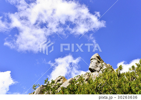 モヤイ岩 モヤイ岩 30263636