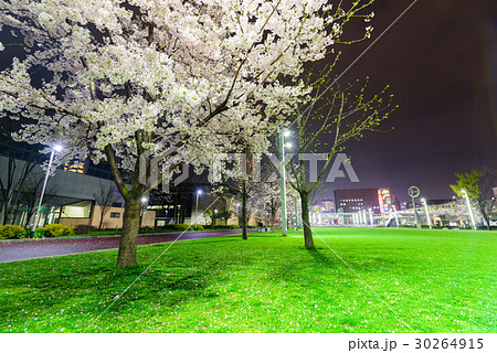 福岡県北九州市（小倉駅北口周辺の夜景） 30264915
