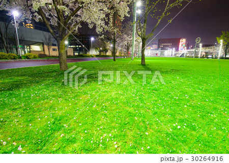 福岡県北九州市(小倉駅北口周辺の夜景) 福岡県北九州市(小倉駅北口周辺の夜景) 30264916
