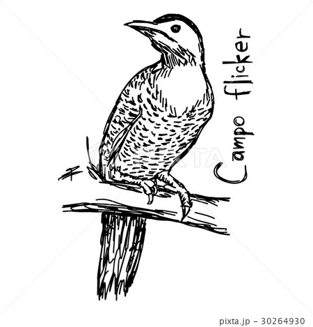 Campo flicker - vector illustration 30264930