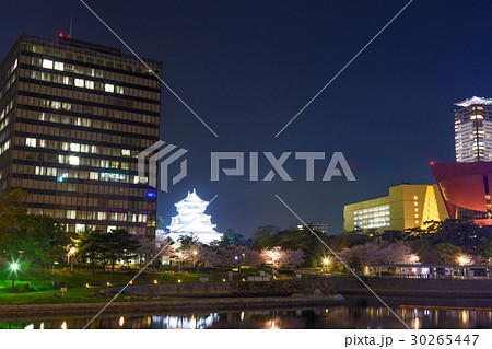 小倉城の夜景と夜桜 30265447
